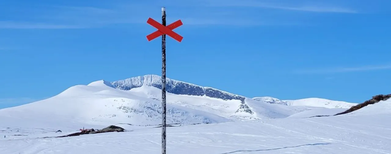 Ledkryss vinter