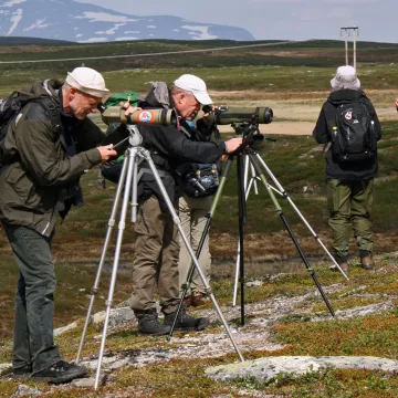 FH_Fågelskådning_2_2000