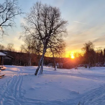 Soluppgång i december