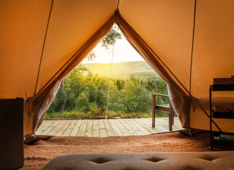 Upplev glamping