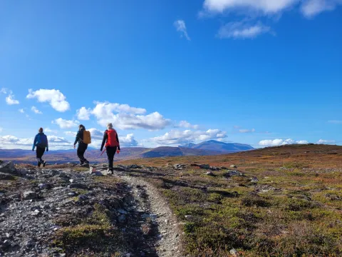 Vandring höstglöd